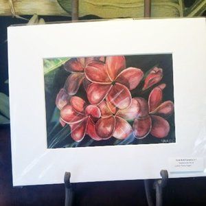 Dark Red Plumeria - W/C Print - Matted to 8x10